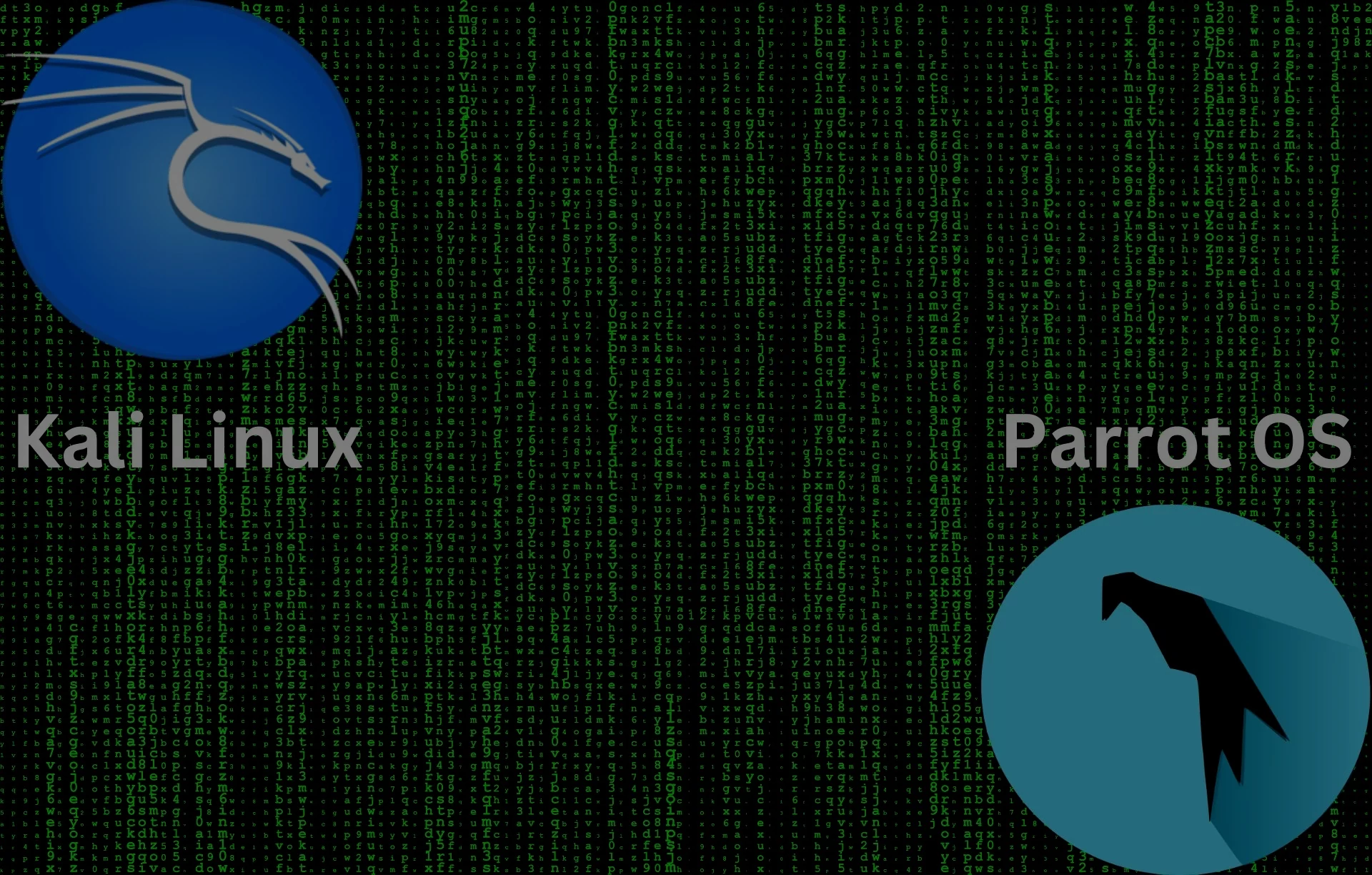 Kali Linux VS Parrot OS